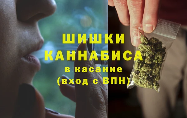 тгк Гусев