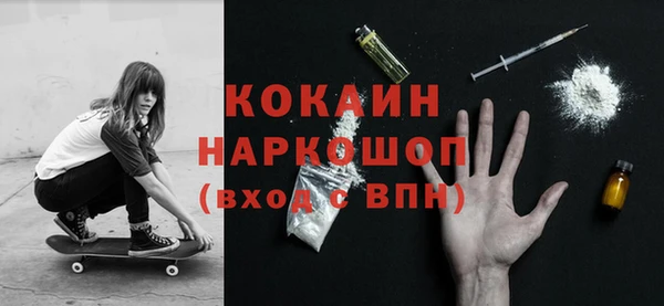 тгк Гусев