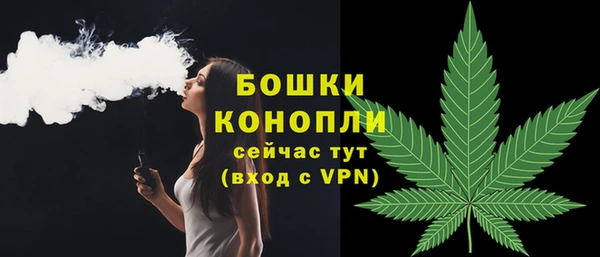 тгк Гусев