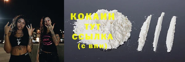 сатива Горняк