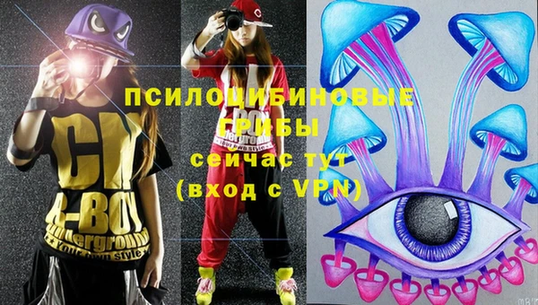 дживик Гусь-Хрустальный