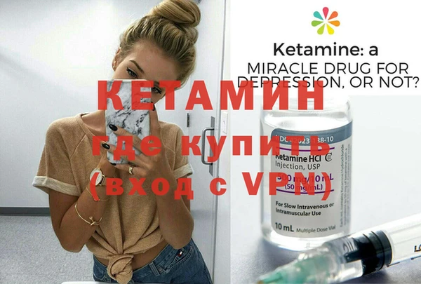 сатива Горняк