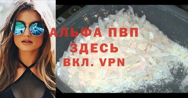 тгк Гусев