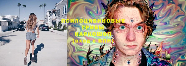 дживик Гусь-Хрустальный