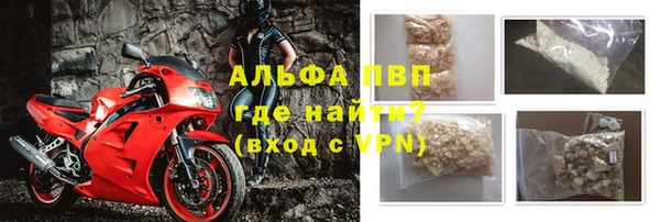 сатива Горняк