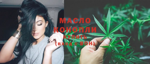 сатива Горняк