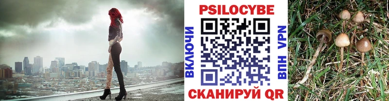 Купить где  Кубинка  Галлюциногенные грибы мухоморы 